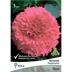 ����  ������� ����������� ���� (1 ��.), ������ �� 207 ���