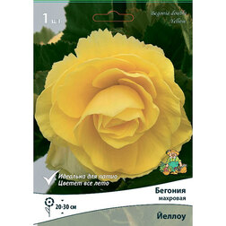 ����  ������� �������� ������ (1 ��.), ������ �� 207 ���