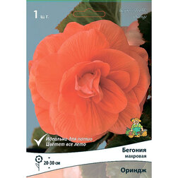 ����  ������� �������� ������ (1 ��.), ������ �� 207 ���