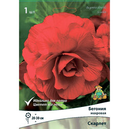 ����  ������� �������� ������� (1 ��.), ������ �� 207 ���