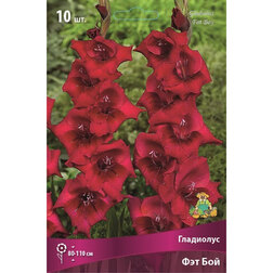 ����  ��������� ��� ��� (10��), ������ �� 476 ���