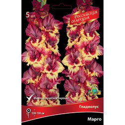 ����  ��������� ����� (5��) ��� ������, ������ �� 688 ���