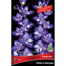 ����  ��������� ���� � ������ (5��), ������ �� 637 ���