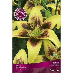 ����  ����� ��������� ������ (1 ��.), ������ �� 263 ���