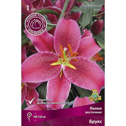 ����  ����� ��������� ����� (1 ��.), ������ �� 246 ���