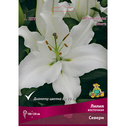 ����  ����� ��������� ������ (1 ��.), ������ �� 229 ���