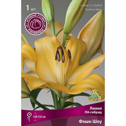 ����  ����� ��-������ ���� ��� (1 ��.), ������ �� 195 ���