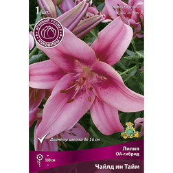 ����  ����� ��-������ ����� �� ���� (1 ��.), ������ �� 280 ���