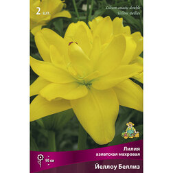 ����  ����� ��������� ������ ������ (2 ��.), ������ �� 462 ���