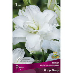 ����  ����� ��������� ����� ����, ������ �� 319 ���