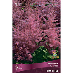 ����  �������� ������� ��� ����, ������ �� 360 ���