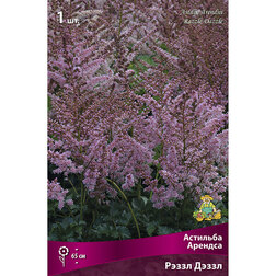 ����  �������� ������� ����� �����, ������ �� 360 ���