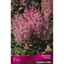 ����  �������� ������� ����� �� ��, ������ �� 360 ���