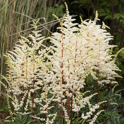 ����  �������� ������� ����� ������, ������ �� 328 ���