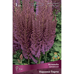 ����  �������� ��������� ������� �����, ������ �� 328 ���