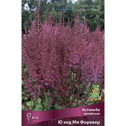 ����  �������� ��������� � ��� �� �������, ������ �� 360 ���