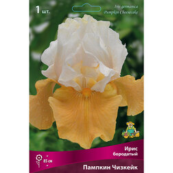 ����  ���� ��������� ������� �������, ������ �� 470 ���