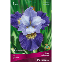 ����  ���� ��������� ���������, ������ �� 357 ���