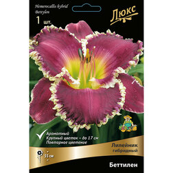 ����  �������� ��������� ��������, ������ �� 625 ���