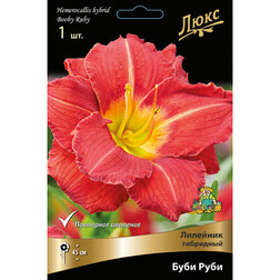 ����  �������� ��������� ���� ����, ������ �� 625 ���