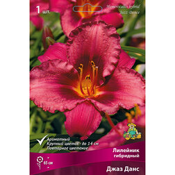 ����  �������� ��������� ���� ����, ������ �� 501 ���