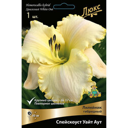 ����  �������� ��������� ���������� ���� ���, ������ �� 625 ���