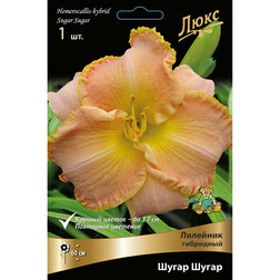 ����  �������� ��������� ����� �����, ������ �� 625 ���