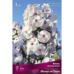 ����  ����� ����������� ����� �� ����, ������ �� 263 ���