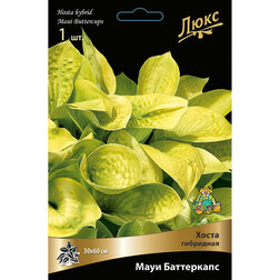 ����  ����� ��������� ���� ����������, ������ �� 634 ���