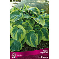 ����  ����� ��������� �� ������, ������ �� 462 ���