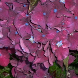 ����  ��������� �������������� ���������, ������ �� 612 ���