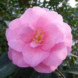 ����  ������� �������� ������ ���������, ������ �� 824 ���