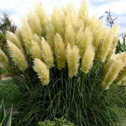 ����  ��������� ����� ������, ������ �� 765 ���