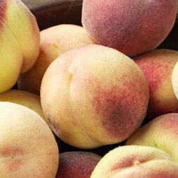 ����  ������ �������� (������ �����) ( � �����), ������ �� 873 ���