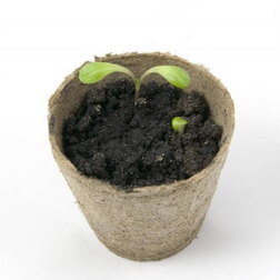 ����  ������ �������� (110�100), ������ �� 7 ���