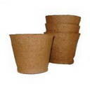 ����  ������ �������� (80�80), ������ �� 6 ���