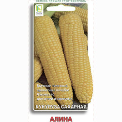 ����  �������� �������� ����� (5��.), ������ �� 32 ���