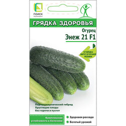 ����  ������ ���� 21 F1 (����� ������ ��������), ������ �� 54 ���