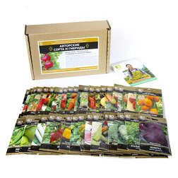 ����  ����� ����� 