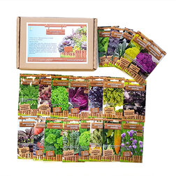 ����  ����� ����� 