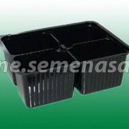 ����  ���� ������� �/�������-4������, ������ �� 11 ���