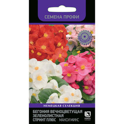 ����  ������� ������������� ������������� ������ ���� ����� ���� (�����), ������ �� 51 ���