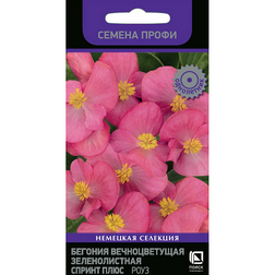 ����  ������� ������������� ������������� ������ ���� ���� (������ �����), ������ �� 60 ���