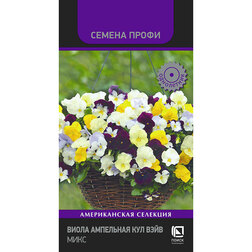 ����  ����� ��������� ��� ���� ���� (������ �����), ������ �� 221 ���