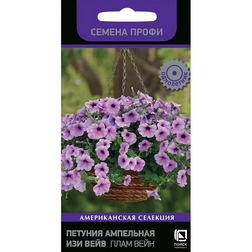 ����  ������� ��������� ��� ���� ���� ���� (������ �����), ������ �� 306 ���