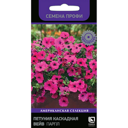 ����  ������� ��������� ���� ����� (������ �����), ������ �� 306 ���