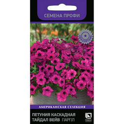 ����  ������� ��������� ������ ���� ����� (������ �����), ������ �� 306 ���