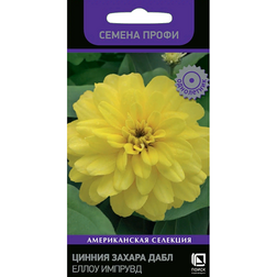 ����  ������ ������ ���� ����� ������� (������ �����), ������ �� 85 ���