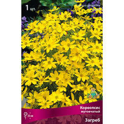 ����  ��������� ���������� ������, ������ �� 399 ���