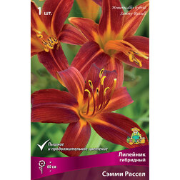 ����  �������� ��������� (����� ������), ������ �� 246 ���